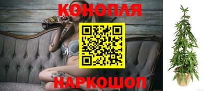 спайс Кандалакша