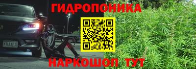 спайс Кандалакша