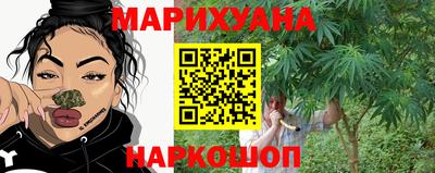 гидропоника Канаш