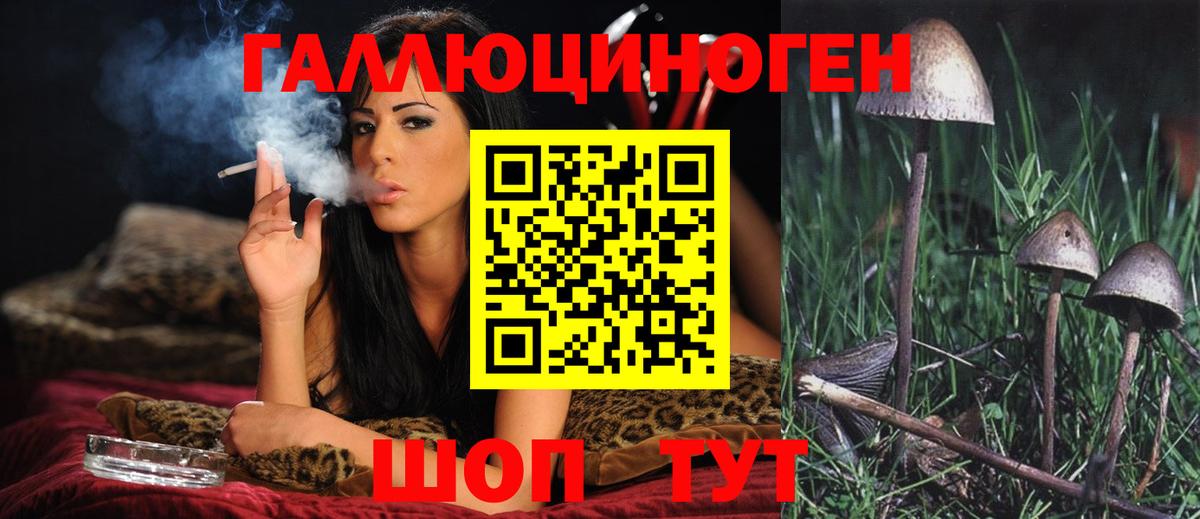 Галлюциногенные грибы Psilocybine cubensis  Псилоцибиновые грибы MAGIC MUSHROOMS  Котлас  Вход с VPN 